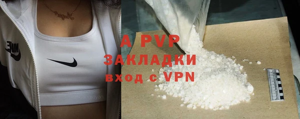 2c-b Новозыбков