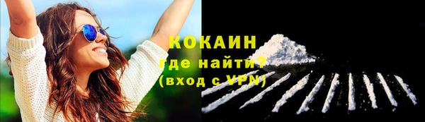 мет Новодвинск