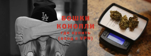 2c-b Новозыбков