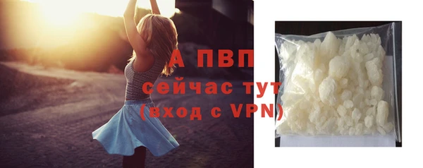2c-b Новозыбков